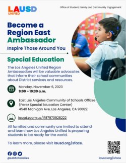 Region Ambassadors flyer 